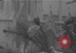 Image of New York summer dresses New York City USA, 1940, second 49 stock footage video 65675079266
