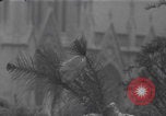 Image of New York summer dresses New York City USA, 1940, second 50 stock footage video 65675079266