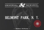Image Bimelech remporte 1940 États de Belmont Belmont Park New York USA, 1940, de la seconde 7 séquences d'archives historiques vidéo 65675079267