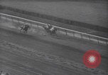 Image Bimelech remporte 1940 États de Belmont Belmont Park New York USA, 1940, de la seconde 49 séquences d'archives historiques vidéo 65675079267