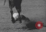 Standbild Livermore California Rodeo Wettbewerb Livermore California USA, 1940, aus Sekunde 22 historischem Filmmaterial Videoclip 65675079268