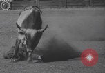 Standbild Livermore California Rodeo Wettbewerb Livermore California USA, 1940, aus Sekunde 49 historischem Filmmaterial Videoclip 65675079268