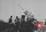 Standbild Deutsche feuern Flak-Artillerie Sizilien Italien, 1943, aus Sekunde 12 historischem Filmmaterial Videoclip 65675079284