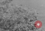 Image of BL medium gun firing WW2 Europe, 1943, second 5 stock footage video 65675079286