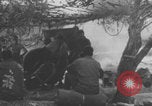 Image of BL medium gun firing WW2 Europe, 1943, second 10 stock footage video 65675079286