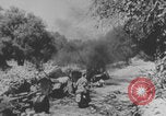 Image of WW2 wreckage Europe, 1943, second 38 stock footage video 65675079288
