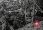 Image of Capture of Cherbourg Octeville Cherbourg Normandy France, 1944, second 61 stock footage video 65675079290