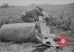 Image of German V-1 wreckage WW2 United Kingdom, 1944, second 60 stock footage video 65675079301