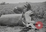Image of German V-1 wreckage WW2 United Kingdom, 1944, second 61 stock footage video 65675079301
