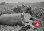 Image of German V-1 wreckage WW2 United Kingdom, 1944, second 62 stock footage video 65675079301