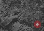 Image of La Haye Du Puits attacked First Army WW2 La Haye Du Puits France, 1944, second 51 stock footage video 65675079302
