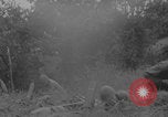 Image of La Haye Du Puits attacked First Army WW2 La Haye Du Puits France, 1944, second 58 stock footage video 65675079302