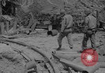 Image of German railroad gun captured Cherbourg Normandy France, 1944, second 19 stock footage video 65675079305