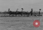 Image of Camouflaged British tanks Caen France, 1944, second 6 stock footage video 65675079307