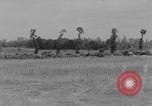 Image of Camouflaged British tanks Caen France, 1944, second 7 stock footage video 65675079307