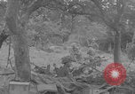 Image Les Canadiens capturent l'aérodrome de Carpiquet France, 1944, de la seconde 19 séquences d'archives historiques vidéo 65675079309
