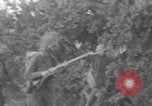Immagine di Cattura di Caen WW2 Caen Francia, 1944, secondo 30 filmato di repertorio 65675079311