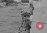 Immagine di Cattura di Caen WW2 Caen Francia, 1944, secondo 35 filmato di repertorio 65675079311