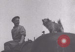Image of French 501st Combat Tank Regiment with dog WW2 United Kingdom, 1944, second 4 stock footage video 65675079315