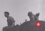 Image of French 501st Combat Tank Regiment with dog WW2 United Kingdom, 1944, second 5 stock footage video 65675079315