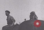 Image of French 501st Combat Tank Regiment with dog WW2 United Kingdom, 1944, second 7 stock footage video 65675079315