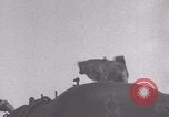 Image of French 501st Combat Tank Regiment with dog WW2 United Kingdom, 1944, second 10 stock footage video 65675079315