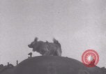 Image of French 501st Combat Tank Regiment with dog WW2 United Kingdom, 1944, second 11 stock footage video 65675079315
