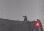 Image of French 501st Combat Tank Regiment with dog WW2 United Kingdom, 1944, second 25 stock footage video 65675079315