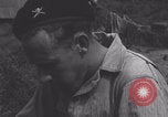 Image of French 501st Combat Tank Regiment with dog WW2 United Kingdom, 1944, second 50 stock footage video 65675079315