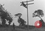 Image of African American linemen stringing wires Italy WW2 Italy, 1944, second 30 stock footage video 65675079319