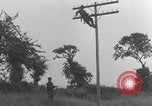Image of African American linemen stringing wires Italy WW2 Italy, 1944, second 31 stock footage video 65675079319