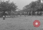 Image of Tank Destroyer company briefing WW2 Normandy France, 1944, second 42 stock footage video 65675079321