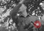Image of Tank Destroyer company briefing WW2 Normandy France, 1944, second 46 stock footage video 65675079321