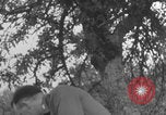 Image of Tank Destroyer company briefing WW2 Normandy France, 1944, second 47 stock footage video 65675079321