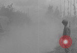 Image of German prisoners marched near Saint Lo WW2 Saint Lo France, 1944, second 10 stock footage video 65675079323