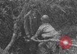 Image of German prisoners frisked WW2 Saint Lo France, 1944, second 5 stock footage video 65675079324