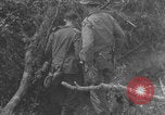 Image of German prisoners frisked WW2 Saint Lo France, 1944, second 7 stock footage video 65675079324