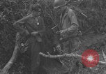 Image of German prisoners frisked WW2 Saint Lo France, 1944, second 15 stock footage video 65675079324