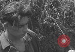 Image of German prisoners frisked WW2 Saint Lo France, 1944, second 19 stock footage video 65675079324