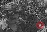 Image of German prisoners frisked WW2 Saint Lo France, 1944, second 20 stock footage video 65675079324