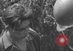 Image of German prisoners frisked WW2 Saint Lo France, 1944, second 22 stock footage video 65675079324