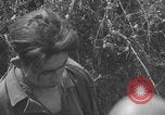 Image of German prisoners frisked WW2 Saint Lo France, 1944, second 23 stock footage video 65675079324