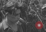 Image of German prisoners frisked WW2 Saint Lo France, 1944, second 25 stock footage video 65675079324