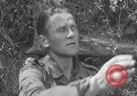 Image of German prisoners frisked WW2 Saint Lo France, 1944, second 48 stock footage video 65675079324