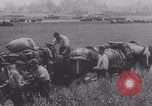 Image Les soldats allemands marchaient Aisne France, 1940, de la seconde 56 séquences d'archives historiques vidéo 65675079326