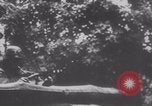 Image La division Panzer traverse la Marne France, 1940, de la seconde 45 séquences d'archives historiques vidéo 65675079327