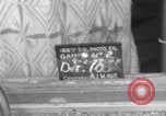 Image of civilians welcome Free French 2nd Armored division WWII La Haye Du Puits France, 1944, second 8 stock footage video 65675079342