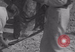 Image of Avranches France men remove roadblocks WW2 Avranches France, 1944, second 23 stock footage video 65675079345
