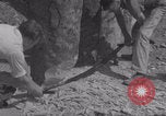 Image of Avranches France men remove roadblocks WW2 Avranches France, 1944, second 25 stock footage video 65675079345