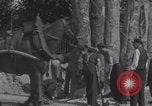 Image of Avranches France men remove roadblocks WW2 Avranches France, 1944, second 54 stock footage video 65675079345